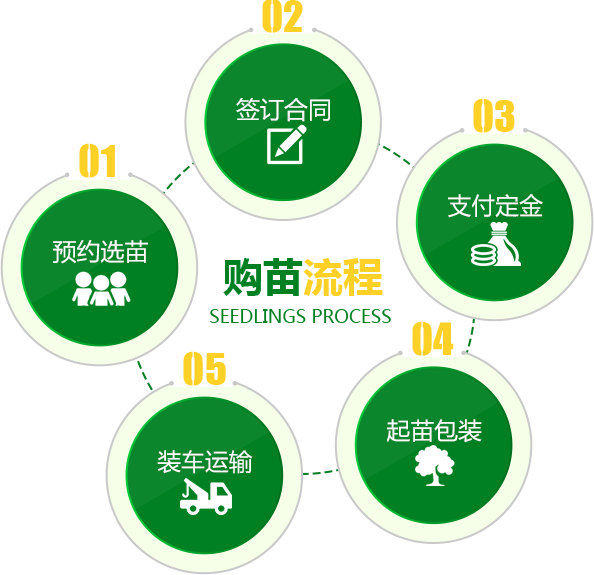 湖南兴驰花卉苗木农民专业合作社