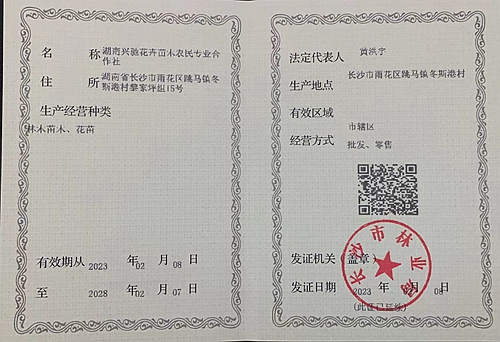 湖南兴驰花卉苗木农民专业合作社,苗木种植,长沙香樟供应,长沙苗木生产,水杉种植,桂花树供应 湖南兴驰花卉苗木农民专业合作社,苗木种植,长沙香樟供应,长沙苗木生产,水杉种植,桂花树供应